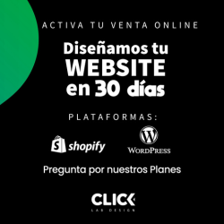 página web